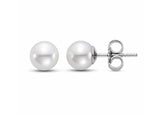 5-5.6MM Pearl Stud Earrings in 14kt White Gold