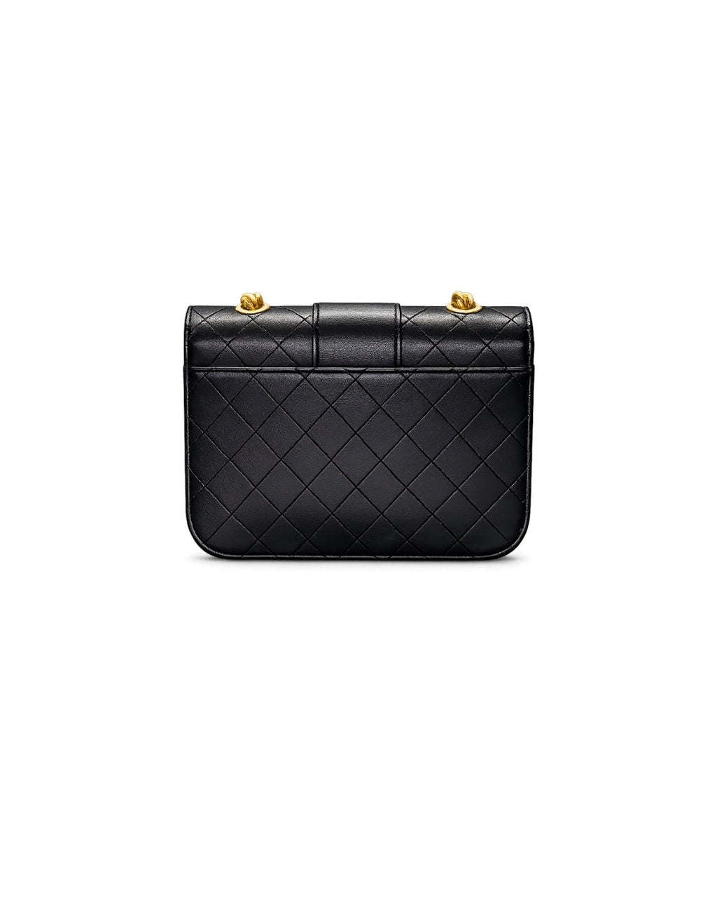 Chanel Calfskin Python Flap Bag