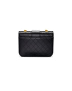 Chanel Calfskin Python Flap Bag