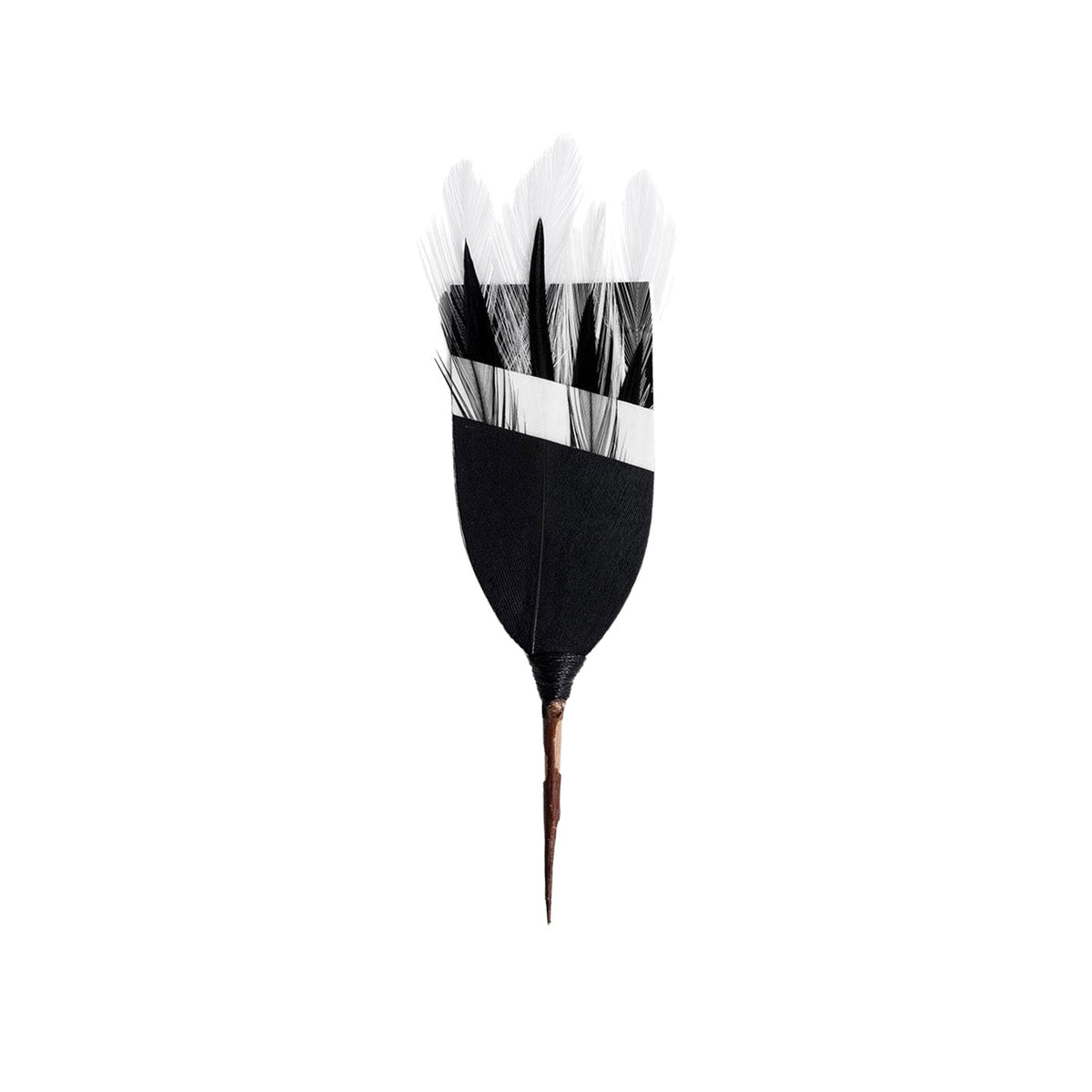 Dauphin Pin