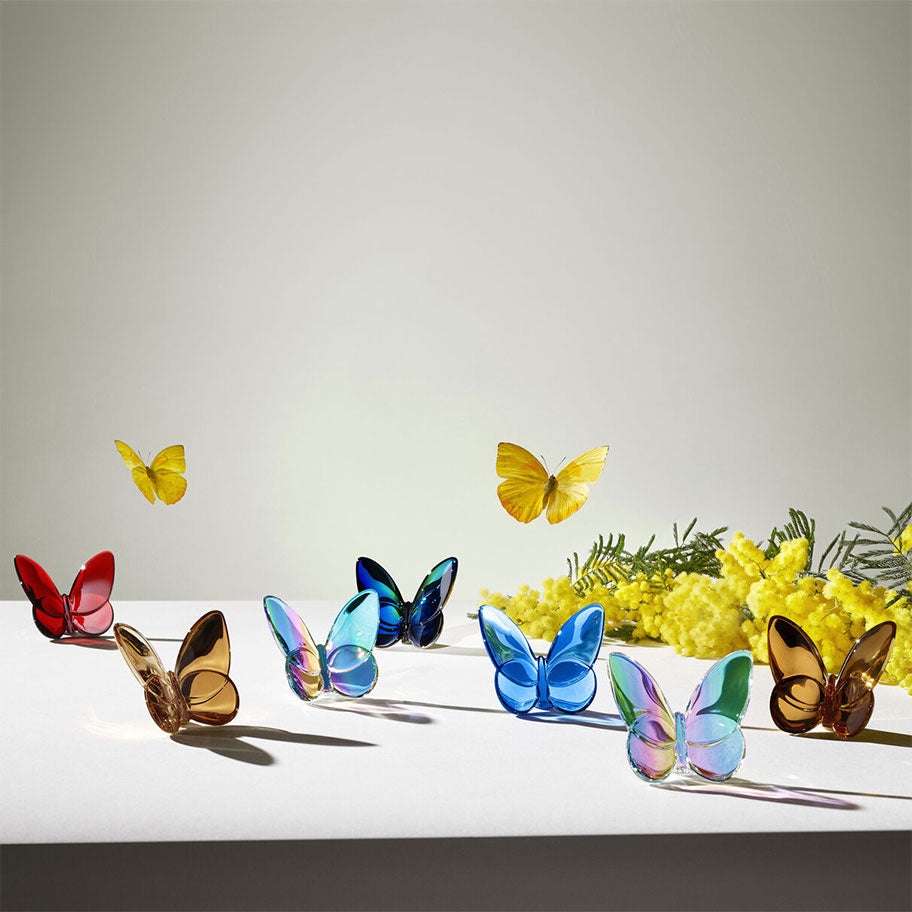Papillon Lucky Amber Butterfly
