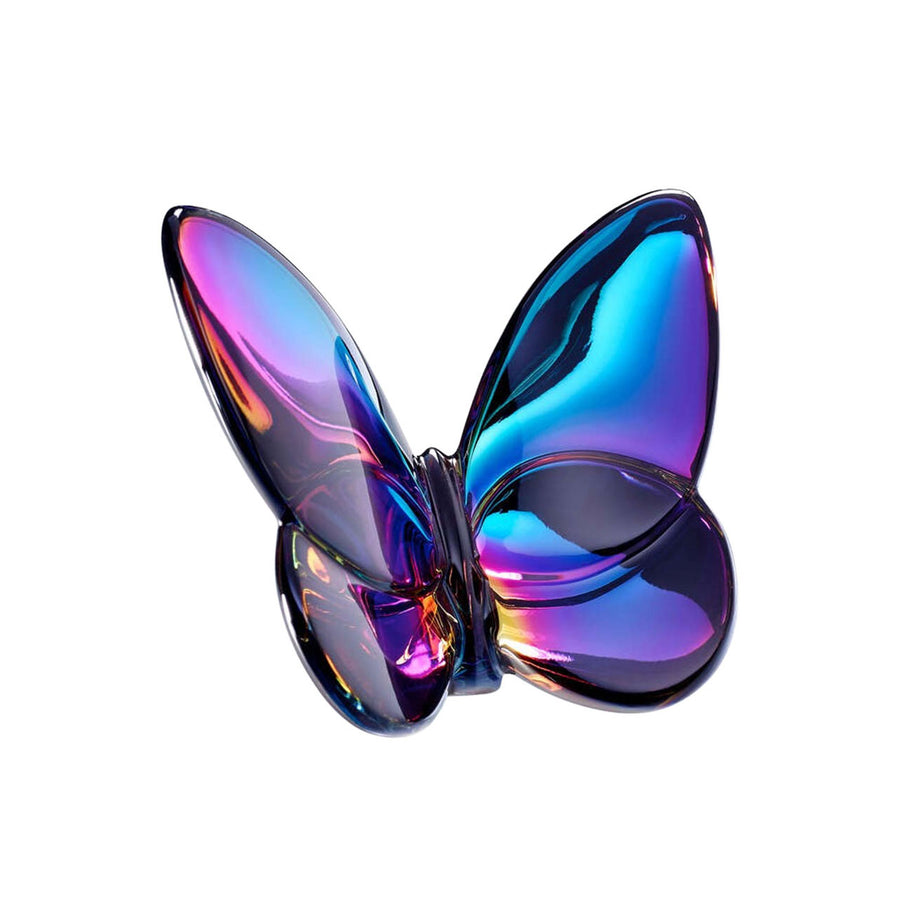 Papillon Lucky Blue Scarabee Butterfly