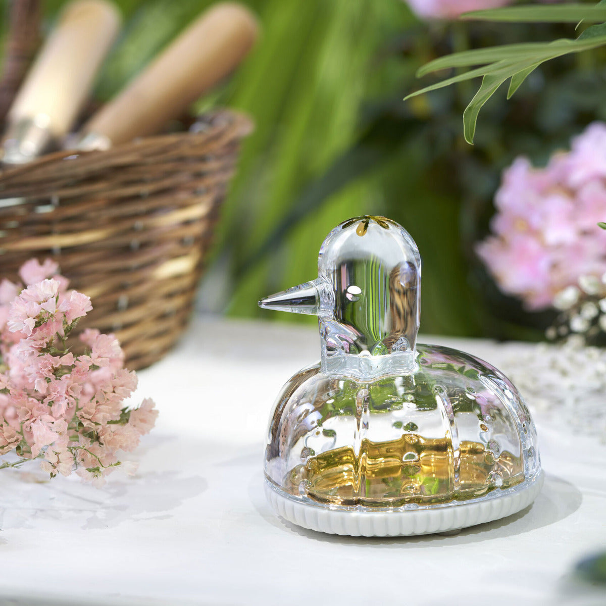 Zoo Duck Clear Jewelry Box