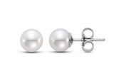 6-6.5MM Pearl Stud Earrings in 14kt White Gold