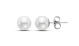 7-7.5MM Pearl Stud Earrings in 14kt White Gold