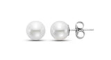 7.5-8MM Pearl Stud Earrings in 14kt White Gold