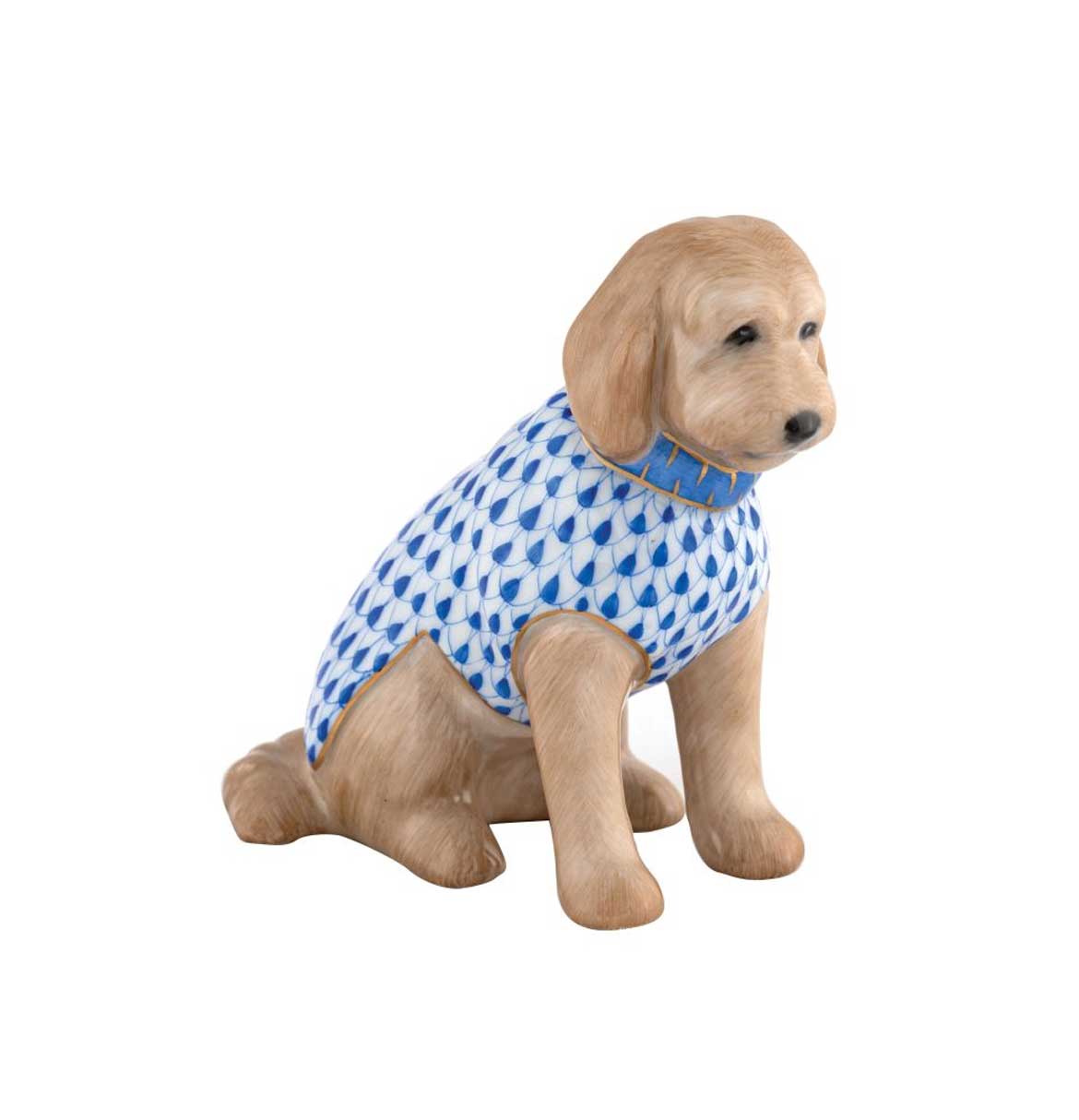 Labradoodle - Sapphire