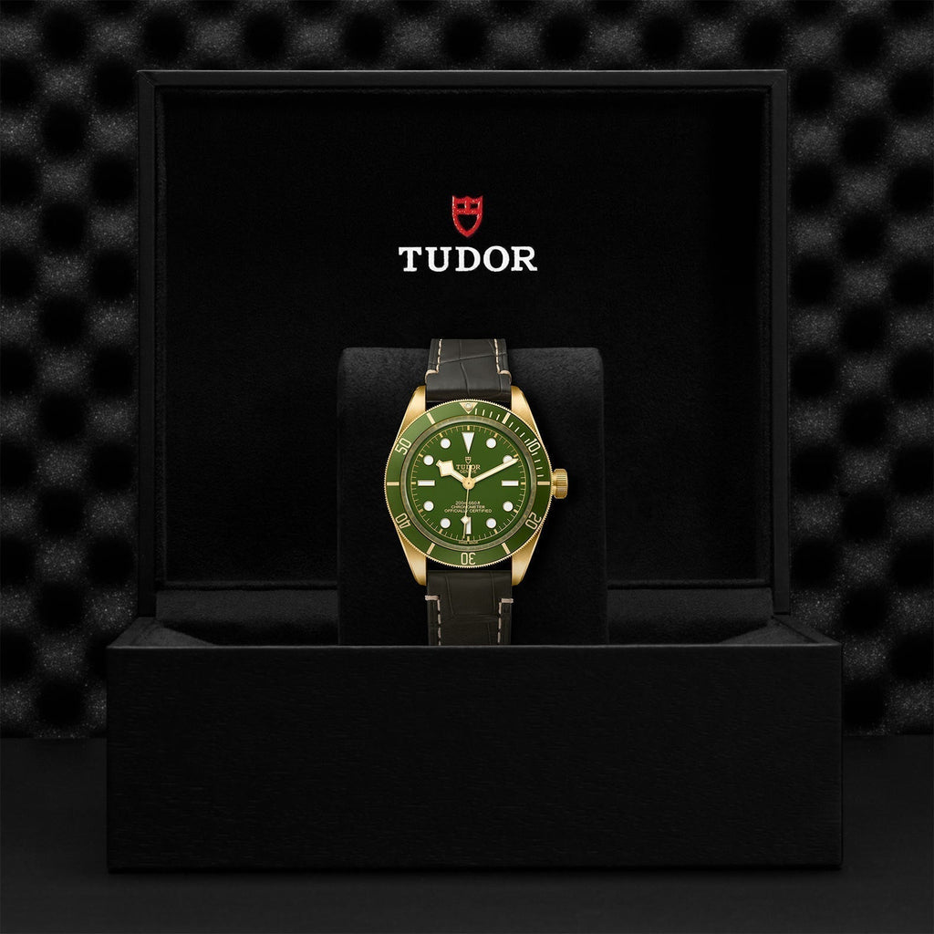 TUDOR Black Bay 58 18K