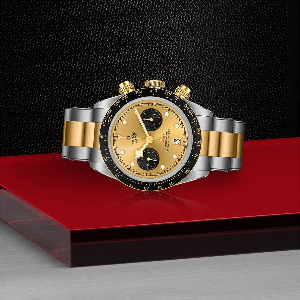 TUDOR Black Bay Chrono S&G