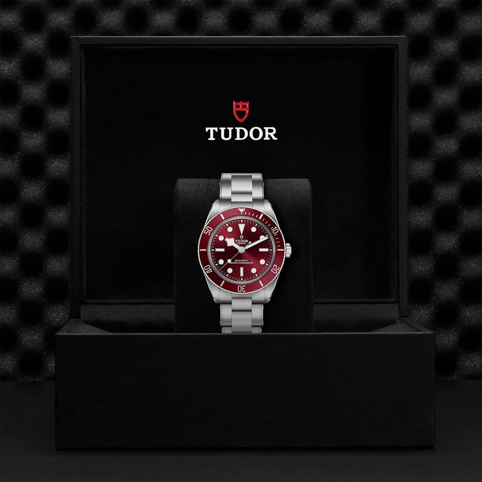 TUDOR Black Bay 58