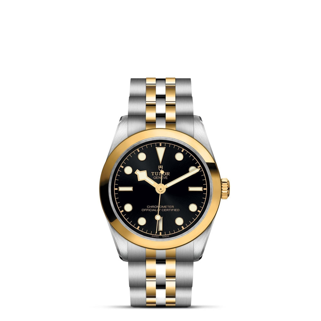TUDOR Black Bay One 31 S&G