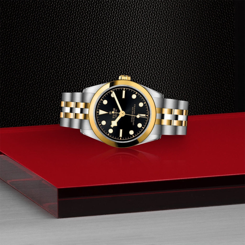 TUDOR Black Bay One 31 S&G