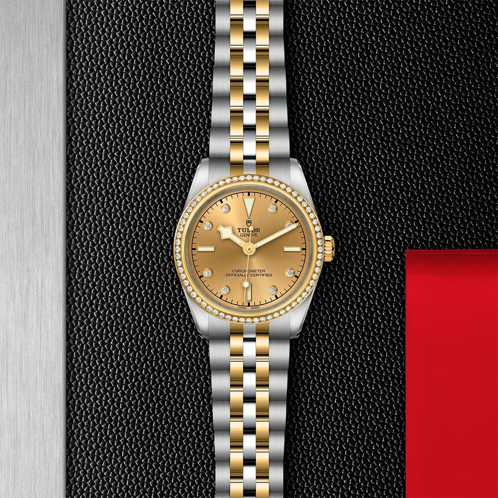 TUDOR Black Bay One 31 S&G