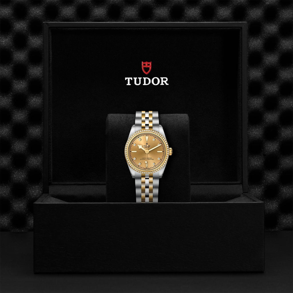 TUDOR Black Bay One 31 S&G