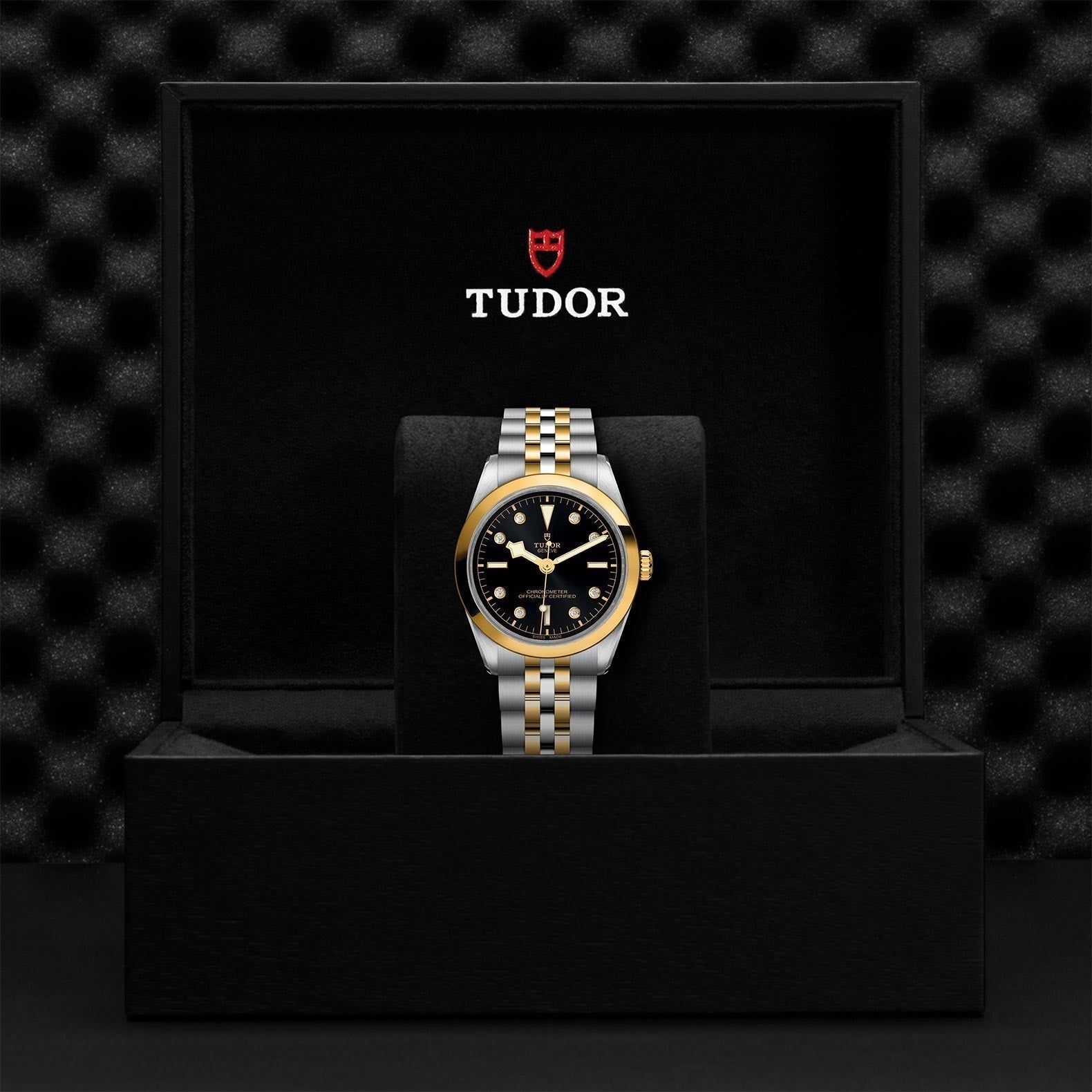 TUDOR Black Bay One 36 S&G