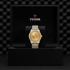 TUDOR Black Bay One 39 S&G