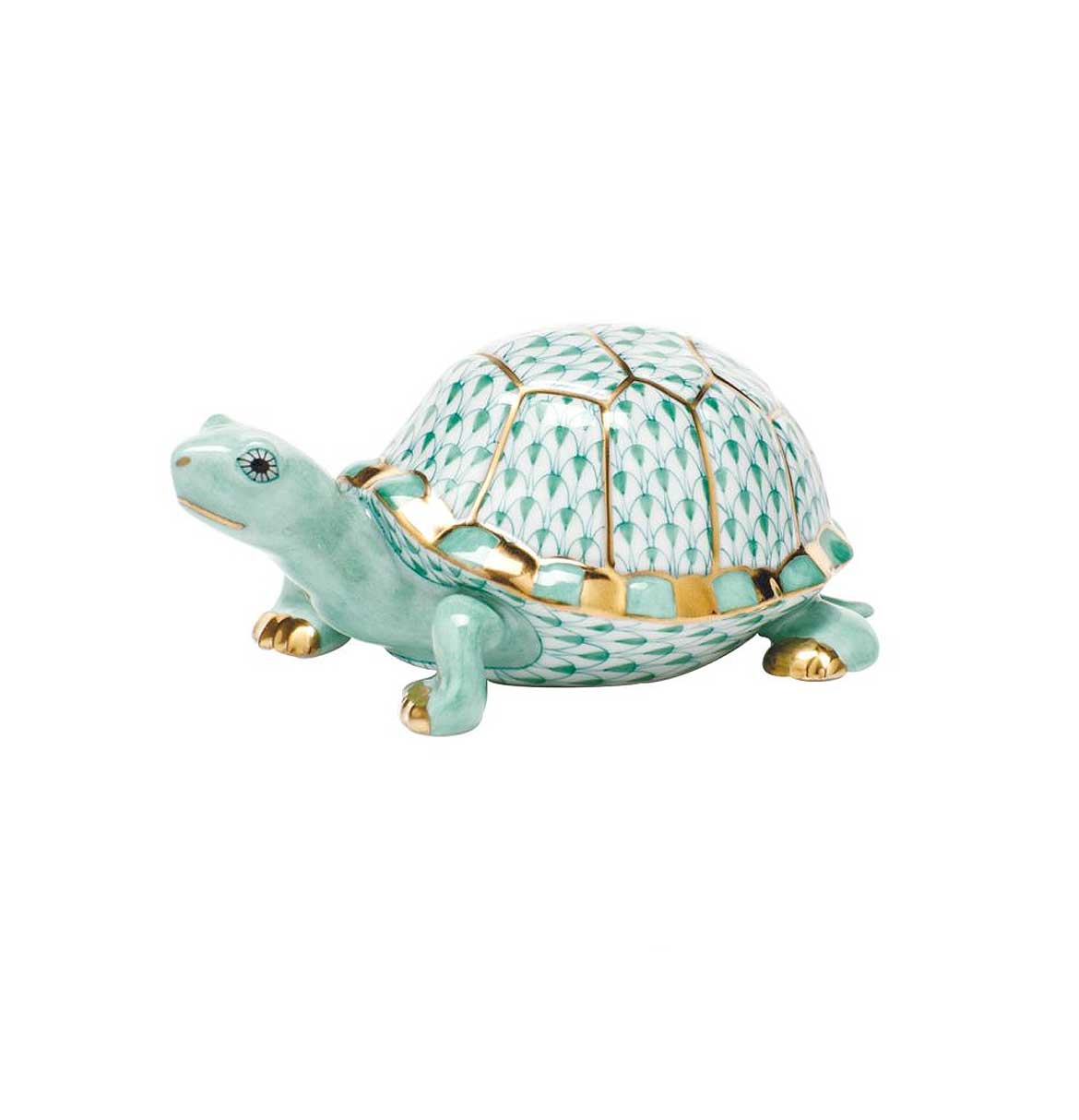 Small Box Turtle  - Green