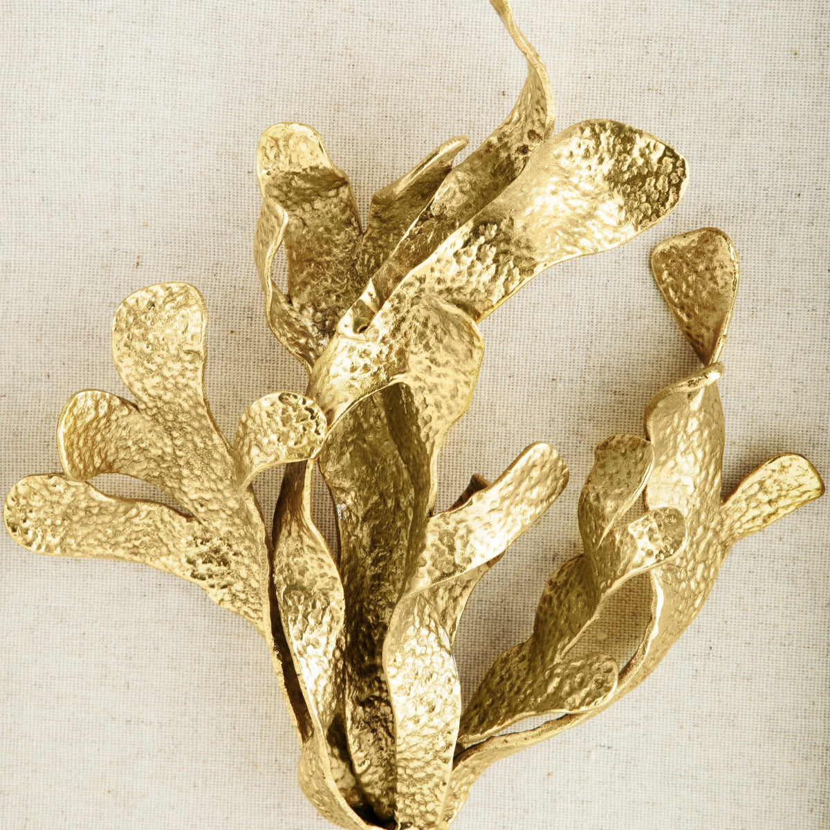Kelp Fabric Shadow Box