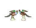 Mottahedeh Parakeets Pair