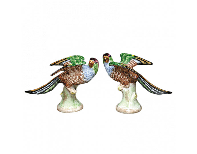 Mottahedeh Parakeets Pair