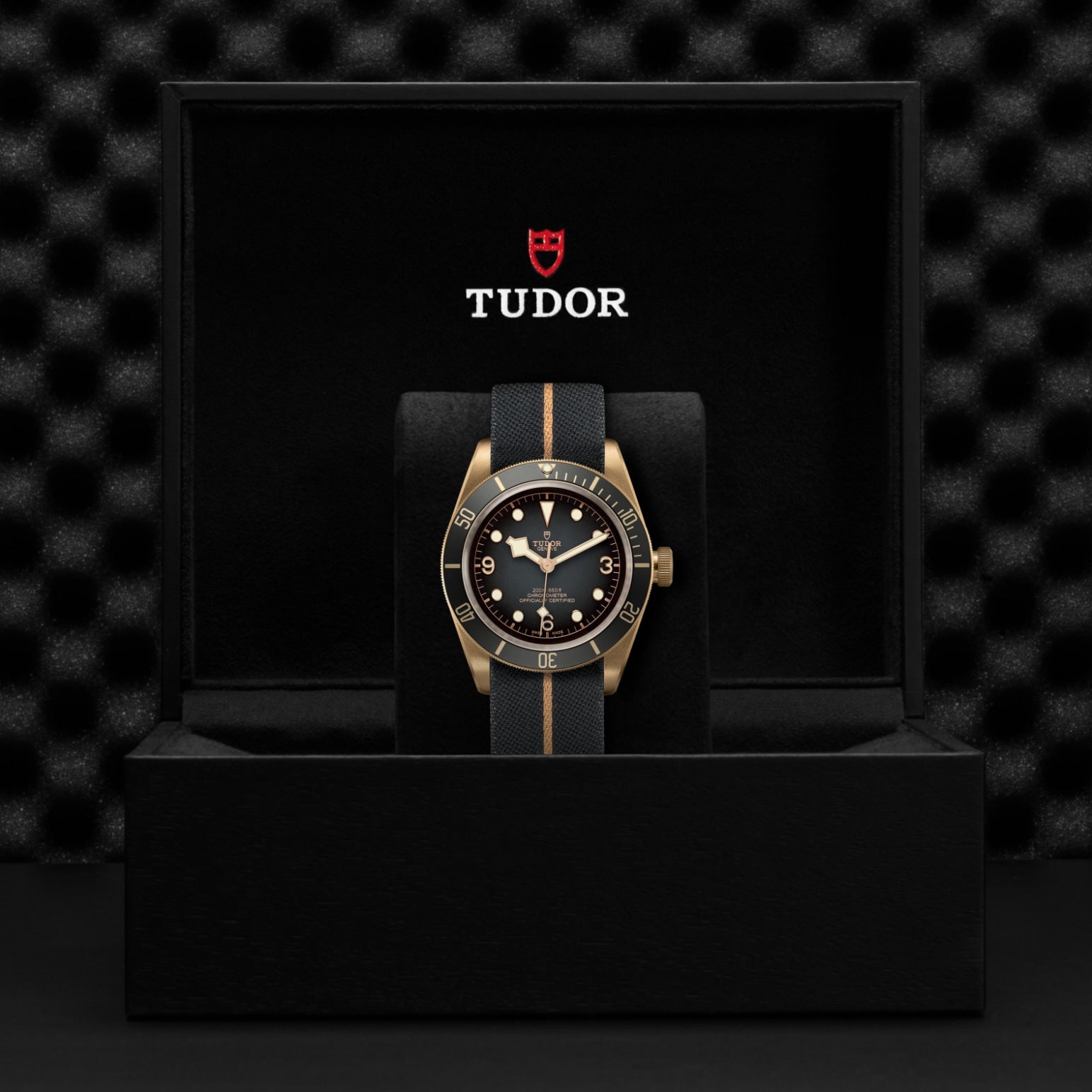 TUDOR Black Bay Bronze