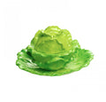 Mottahedeh Lettuce Box & Stand, Small