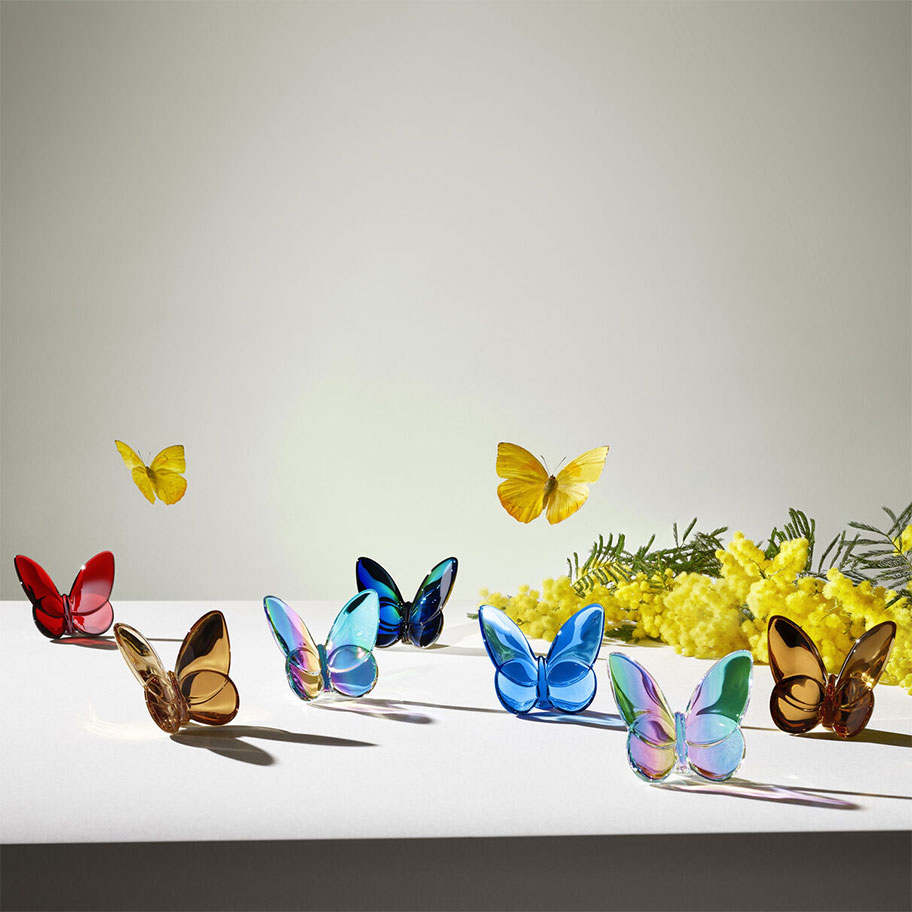 Papillon Lucky Amber Butterfly