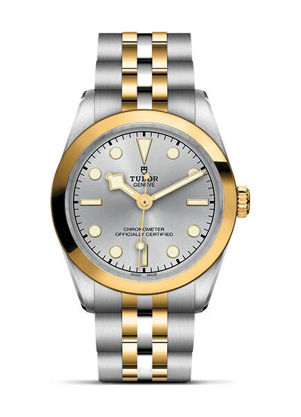 TUDOR Black Bay 31 S&G - M79603-0002