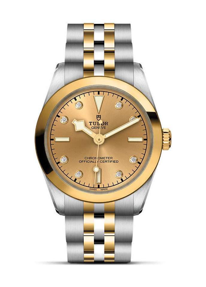 TUDOR Black Bay 31 S&G - M79603-0008