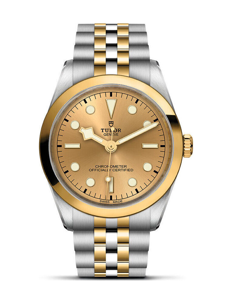 TUDOR Black Bay 36 S&G - M79643-0005