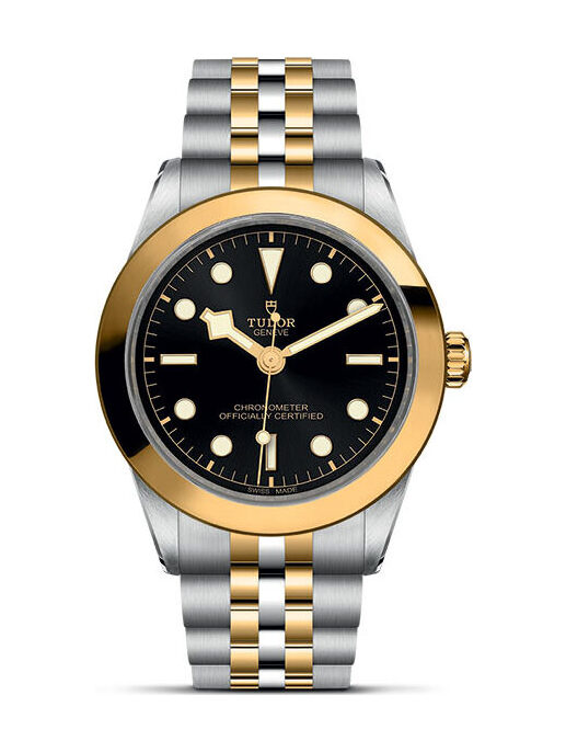 TUDOR Black Bay 39 S&G - M79663-0001