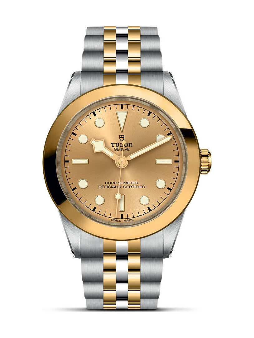 TUDOR Black Bay 39 S&G - M79663-0005