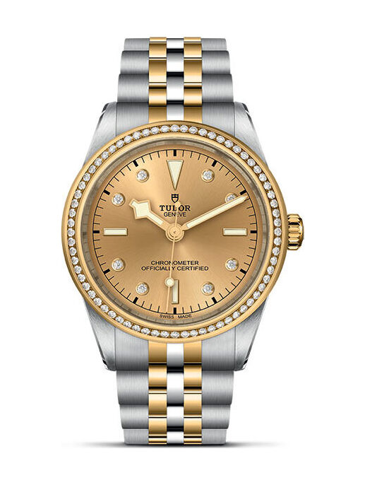 TUDOR Black Bay 39 S&G - M79673-0007