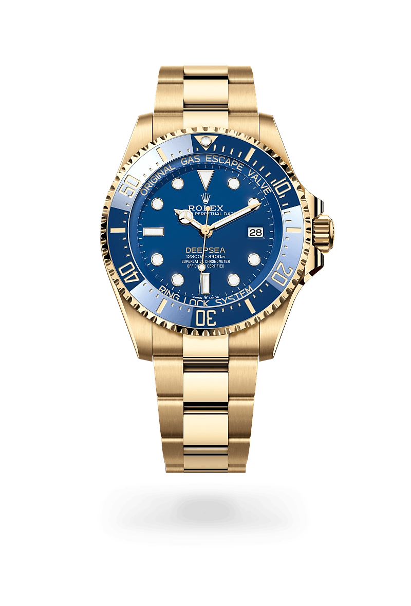 A voyage into the world of Rolex