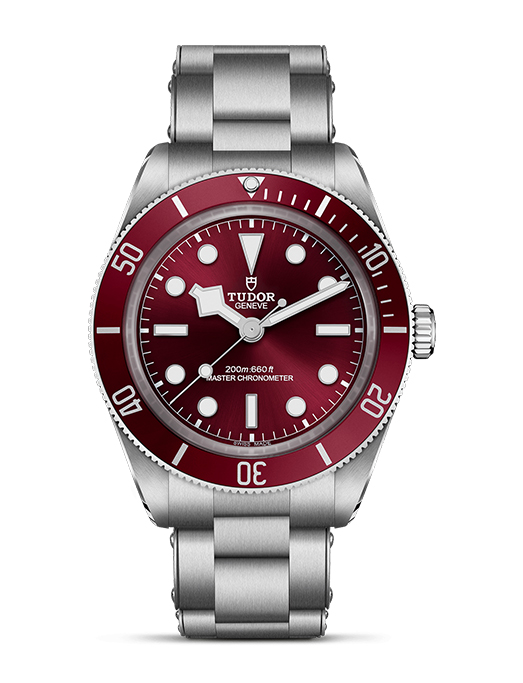 TUDOR Black Bay 58