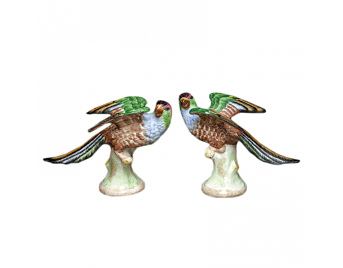Parakeets Pair 