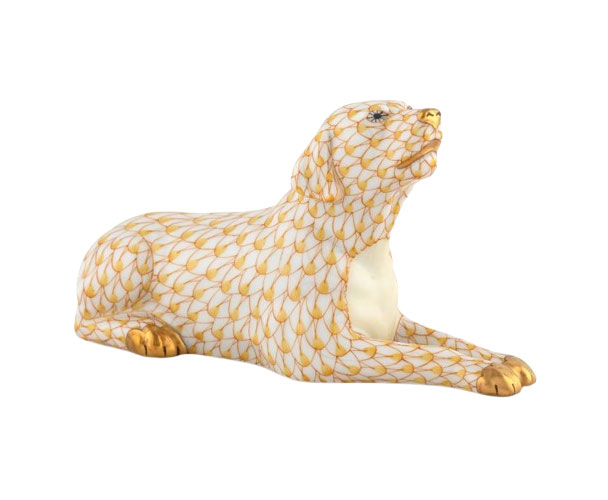 Singing Labrador - Butterscotch