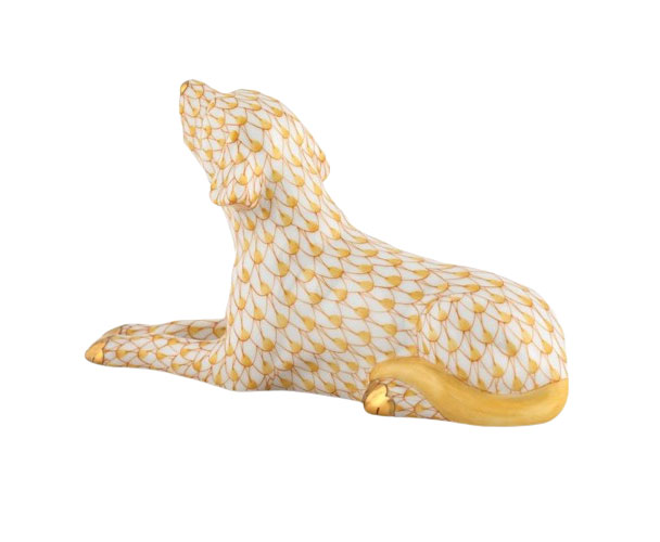 Singing Labrador - Butterscotch