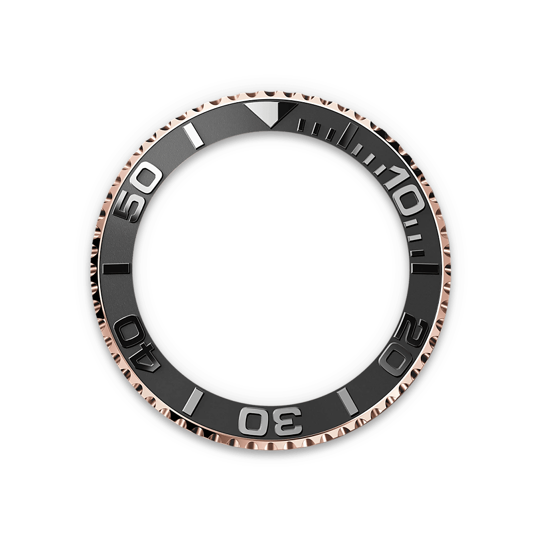 The Oysterflex Bracelet