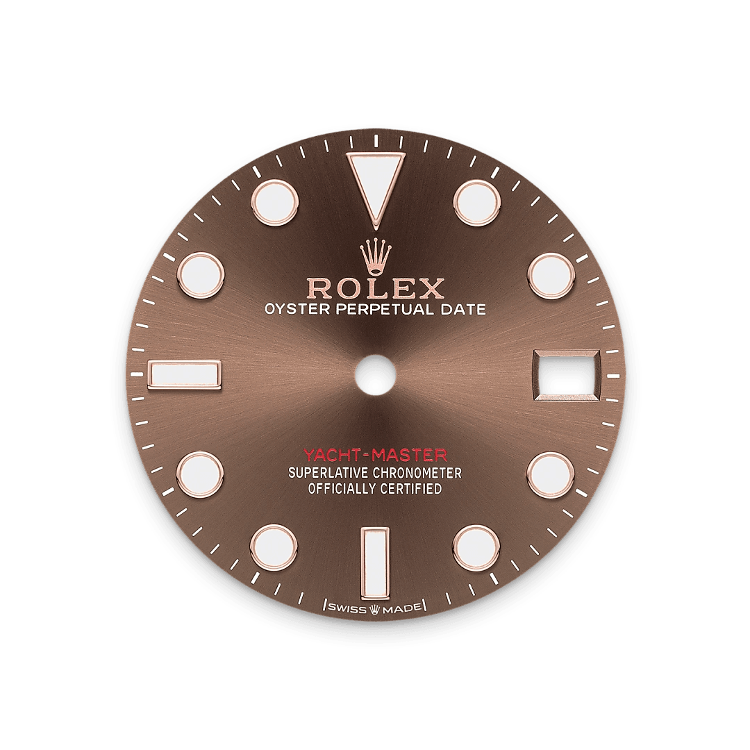 Bidirectional Rotatable Bezel